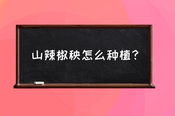 什么辣椒可以种花盆 山辣椒秧怎么种植？