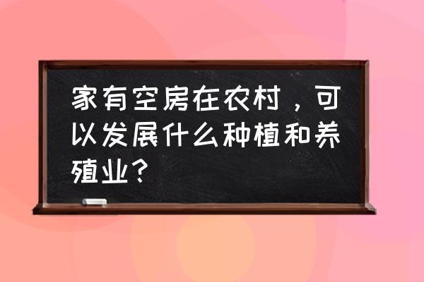 目前农村养什么最好 家有空房在农村，可以发展什么种植和养殖业？