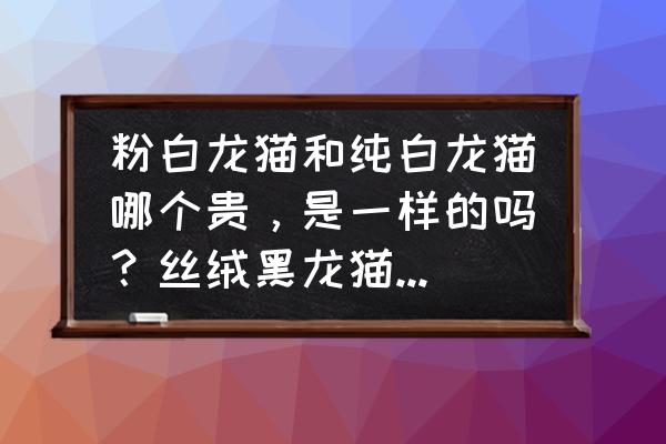 养一只白色龙猫一年要花多少钱 粉白龙猫和纯白龙猫哪个贵，是一样的吗？丝绒黑龙猫和纯黑龙猫哪个贵，一样吗？