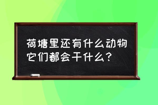 荷塘浮萍怎么补救 荷塘里还有什么动物它们都会干什么？