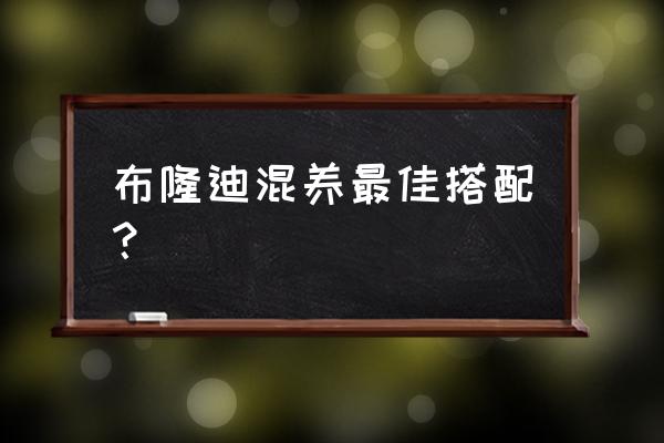 布隆迪六间鱼几厘米的好养 布隆迪混养最佳搭配？