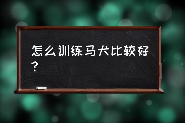 怎样训练狗狗无绳随行 怎么训练马犬比较好？