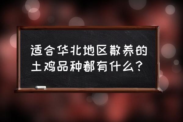 珍珠鸡哪几种人不能吃 适合华北地区散养的土鸡品种都有什么？