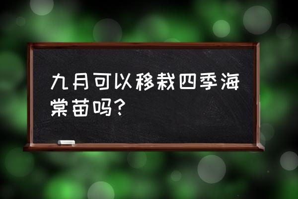 海棠花树苗多少钱一棵 九月可以移栽四季海棠苗吗？