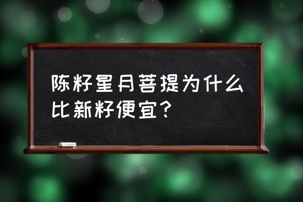 星月菩提盘玩各个时期的价格 陈籽星月菩提为什么比新籽便宜？