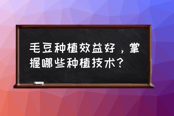 种青菜有什么方法长得快 毛豆种植效益好，掌握哪些种植技术？