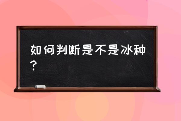 如何识别真假冰种翡翠 如何判断是不是冰种？