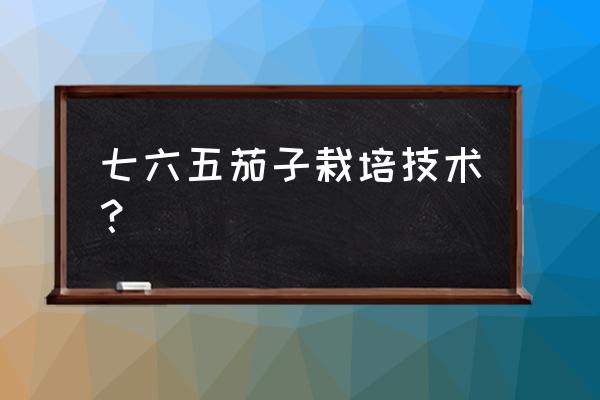 茄子种植盆栽无土 七六五茄子栽培技术？