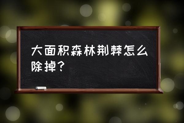 木贼草怎么根除 大面积森林荆棘怎么除掉？