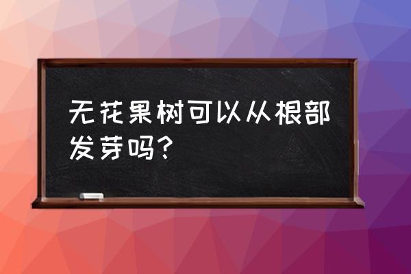 无花果如何繁殖效果最好 无花果树可以从根部发芽吗？