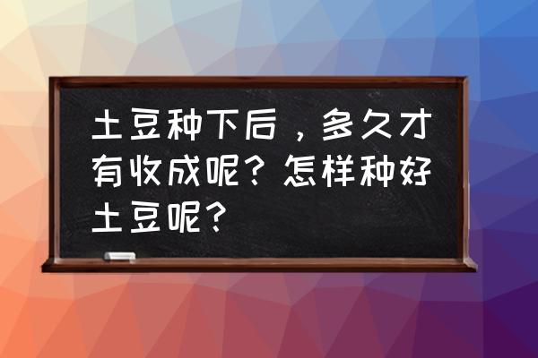 土豆种怎么催芽 土豆种下后，多久才有收成呢？怎样种好土豆呢？