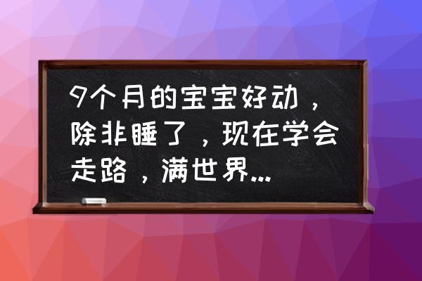 宝宝怎样快速学会走路 9个月的宝宝好动，除非睡了，现在学会走路，满世界奔跑，咋办？