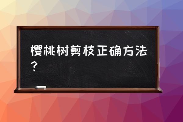 大樱桃剪枝正确方法 樱桃树剪枝正确方法？