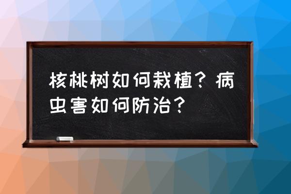 核桃树怎么才能长得又高又大 核桃树如何栽植？病虫害如何防治？