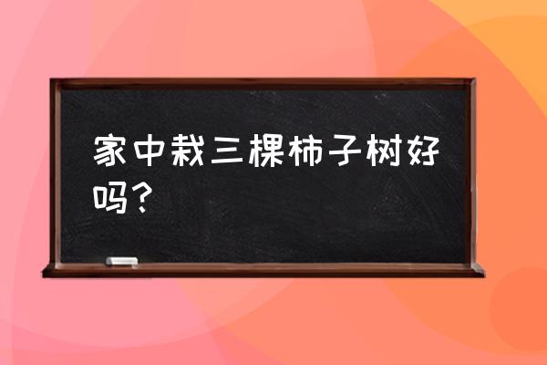 柿子树在农村院子里代表什么 家中栽三棵柿子树好吗？