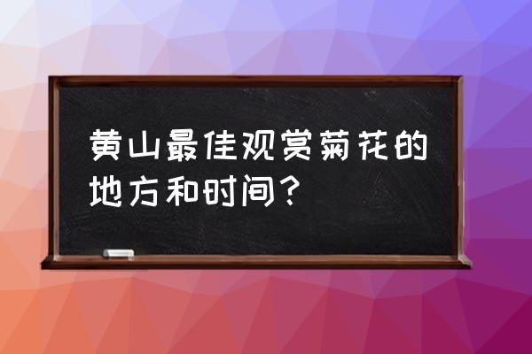 几月份种植菊花最好 黄山最佳观赏菊花的地方和时间？