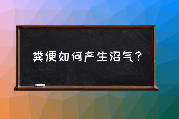 阳光堆肥房的技术原理 粪便如何产生沼气？