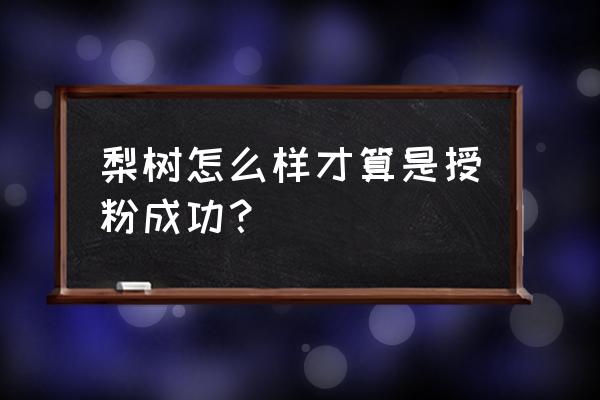 梨树授粉正确方法 梨树怎么样才算是授粉成功？