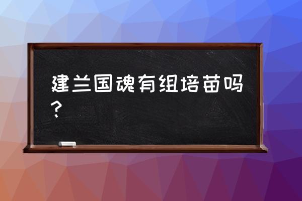 组培苗为什么养不过三年 建兰国魂有组培苗吗？