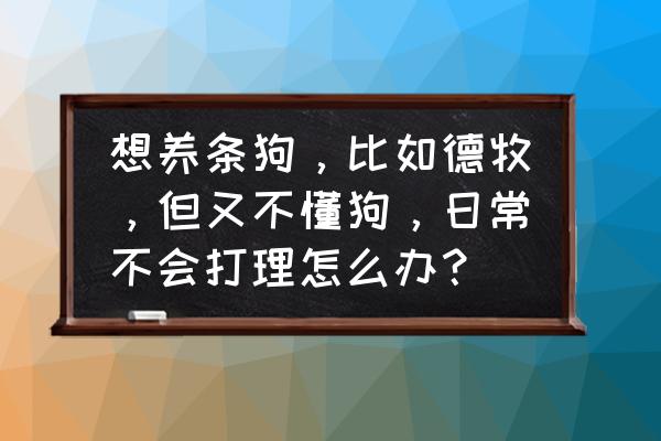 普通人养宠物的方法 想养条狗，比如德牧，但又不懂狗，日常不会打理怎么办？