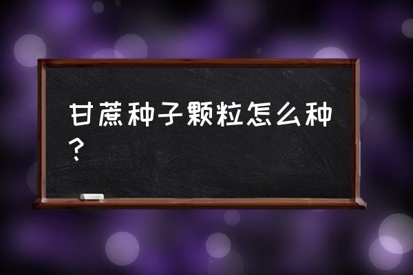 甘蔗种子怎样育苗 甘蔗种子颗粒怎么种？