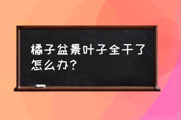 桔子树叶子发黑掉叶枯萎怎么办 橘子盆景叶子全干了怎么办？