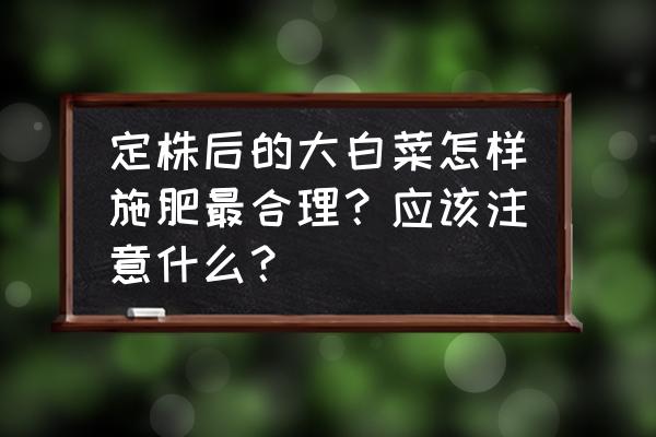 阳台种菜春季施肥 定株后的大白菜怎样施肥最合理？应该注意什么？