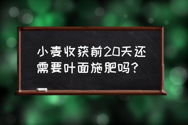 刚收获的麦子能吃吗 小麦收获前20天还需要叶面施肥吗？