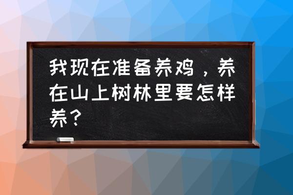 国有林场旅游开发的措施有哪些 我现在准备养鸡，养在山上树林里要怎样养？