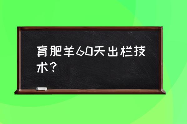 羊怎样育肥最快最有效 育肥羊60天出栏技术？