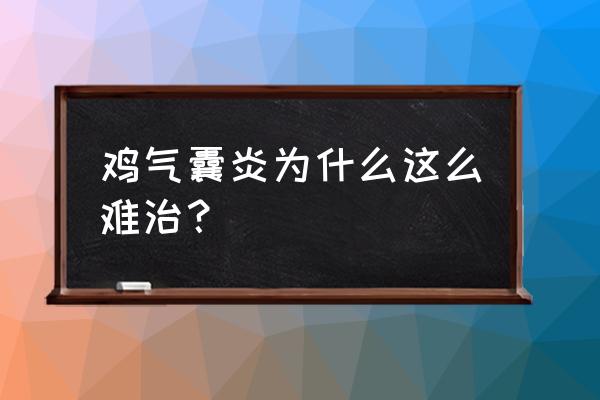 气囊炎特效药一览表 鸡气囊炎为什么这么难治？