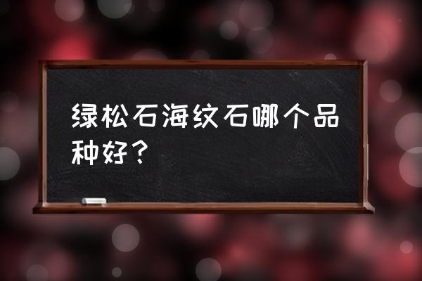 绿海纹石的功效与作用是什么 绿松石海纹石哪个品种好？