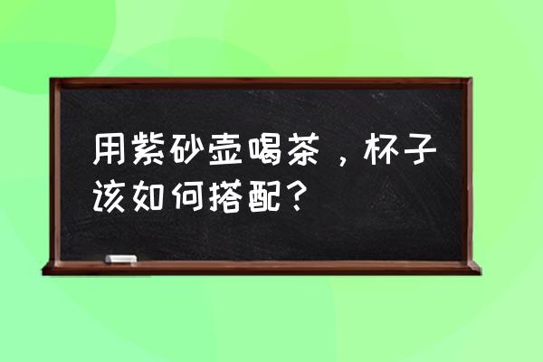 紫砂壶十大必备建议 用紫砂壶喝茶，杯子该如何搭配？