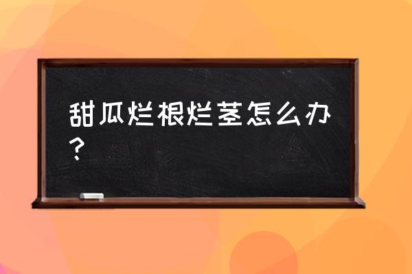 大棚甜瓜蔓枯病用什么药最好 甜瓜烂根烂茎怎么办？