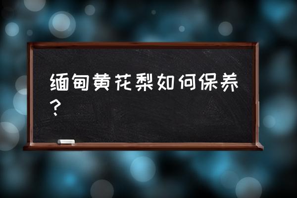 海黄的保养方法和注意事项 缅甸黄花梨如何保养？