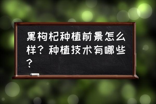 黑枸杞怎么人工栽培 黑枸杞种植前景怎么样？种植技术有哪些？