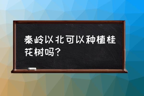 湖南桂花树种植基地 秦岭以北可以种植桂花树吗？