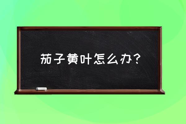 土豆叶发黄枯死怎么回事 茄子黄叶怎么办？