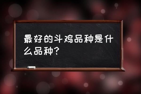 斗鸡好品种的鉴别方法 最好的斗鸡品种是什么品种？