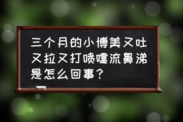 两个月的博美流鼻涕咳嗽怎么办 三个月的小博美又吐又拉又打喷嚏流鼻涕是怎么回事？