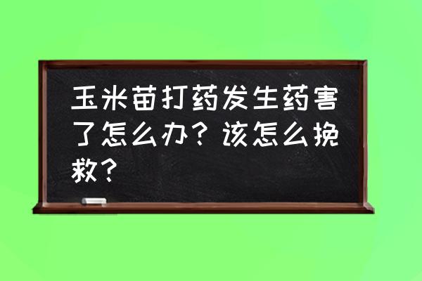 玉米缩节胺一亩地的用量 玉米苗打药发生药害了怎么办？该怎么挽救？