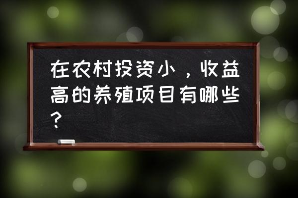 养殖什么不会亏本赚钱 在农村投资小，收益高的养殖项目有哪些？