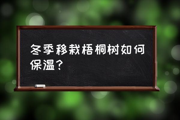 冬天种树成活率高的方法 冬季移栽梧桐树如何保温？