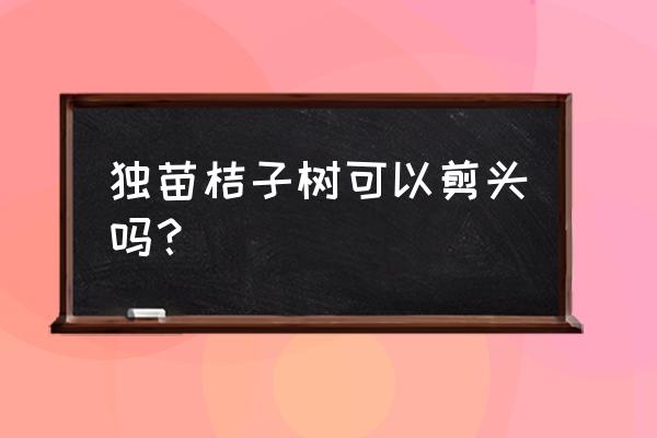 桔子树如何剪枝挂果最多 独苗桔子树可以剪头吗？