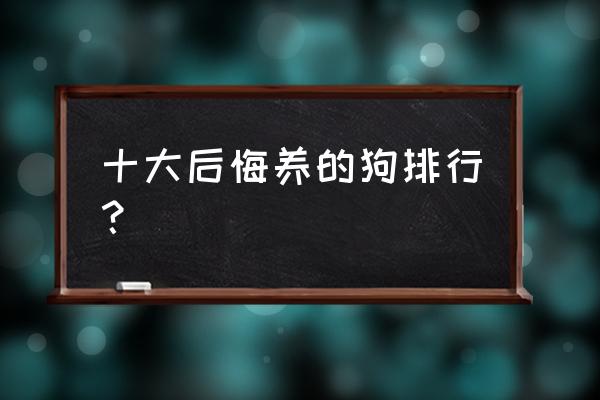 养狗十大问题及解决方法 十大后悔养的狗排行？