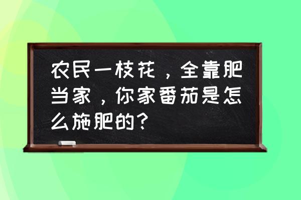 小番茄施肥的正确方法 农民一枝花，全靠肥当家，你家番茄是怎么施肥的？