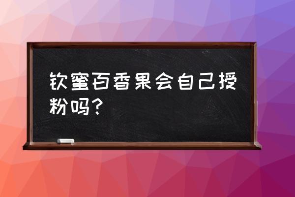 百香果刚开花就可以授粉吗 钦蜜百香果会自己授粉吗？