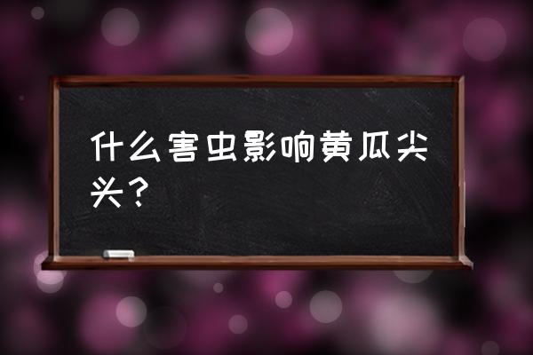 黄瓜尖头的原因及防治方法 什么害虫影响黄瓜尖头？