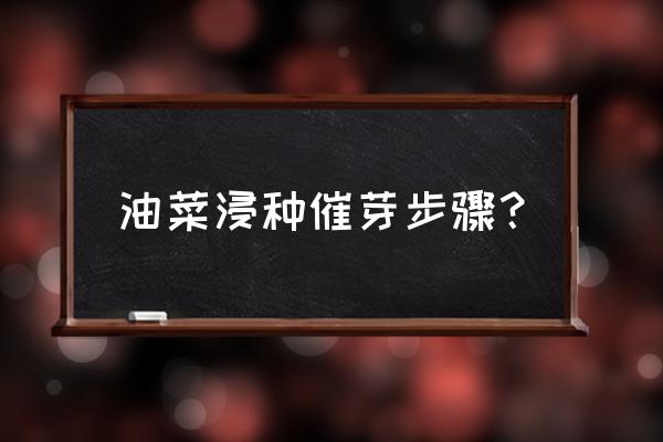 油菜怎么留种子 油菜浸种催芽步骤？