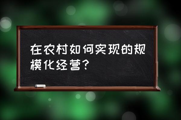 农村果园立体种植模式怎么操作 在农村如何实现的规模化经营？